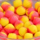 Addicted Wafters Clams Orange - N Butyric