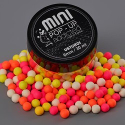 Pop up Mini Addicted - Чесън 6 mm